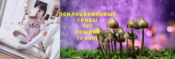 амф Балахна