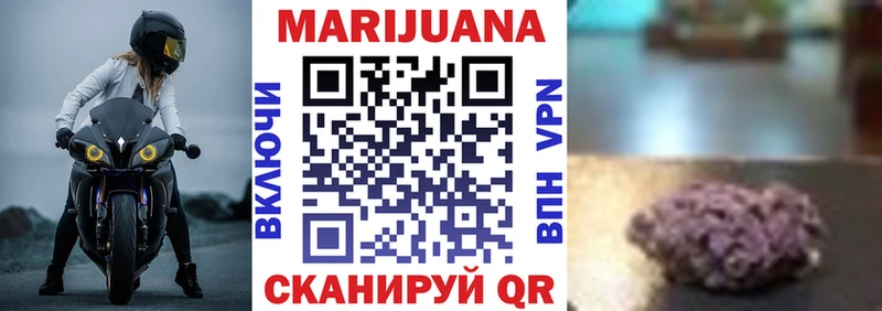 где купить наркотик  Шагонар  Бошки марихуана сатива 